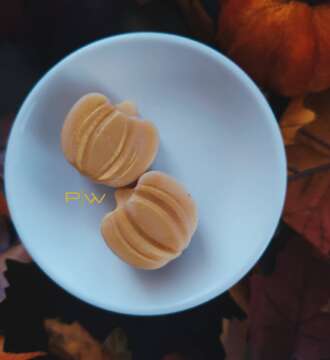 Fall Waxmelts